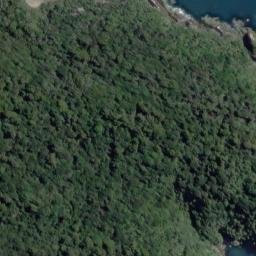 Satellite imagery of Steep Head, NZ