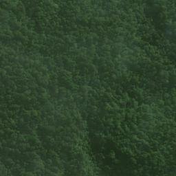 Satellite imagery of Pikaroro Point, NZ