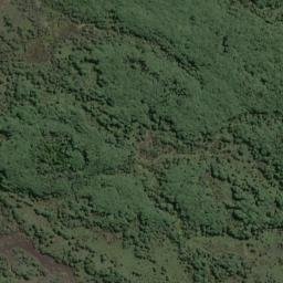 Satellite imagery of D (Lords River SD), NZ