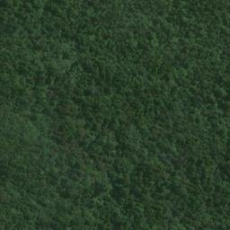 Satellite imagery of D (Lords River SD), NZ