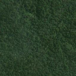 Satellite imagery of D (Lords River SD), NZ