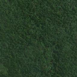 Satellite imagery of D (Lords River SD), NZ