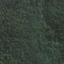 Satellite imagery of Lords River Head, NZ