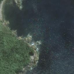 Satellite imagery of John Point, NZ