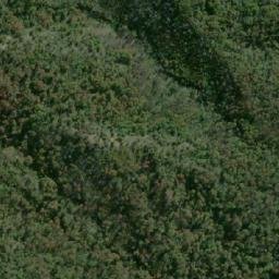 Satellite imagery of Cerro Wood, CL