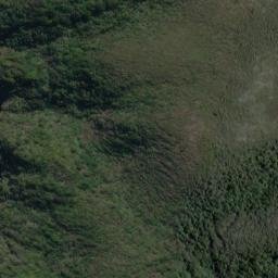 Satellite imagery of 19111, NZ