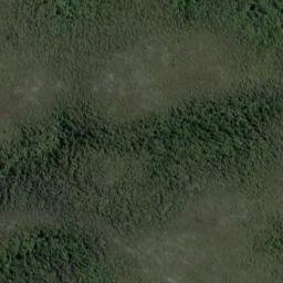 Satellite imagery of 19111, NZ
