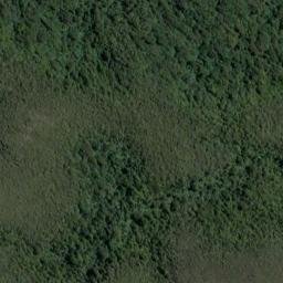 Satellite imagery of 19111, NZ