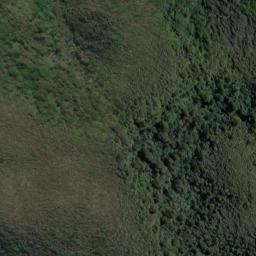 Satellite imagery of 19111, NZ