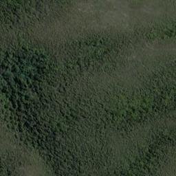 Satellite imagery of 19111, NZ
