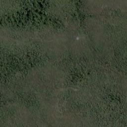 Satellite imagery of 19111, NZ