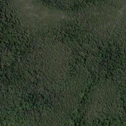 Satellite imagery of 19111, NZ