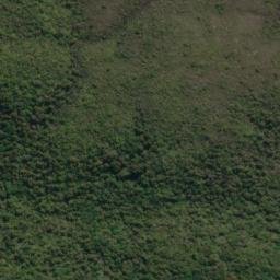Satellite imagery of Woody Point, NZ