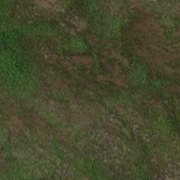 Satellite imagery of 19051, NZ