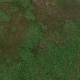 Satellite imagery of 19051, NZ