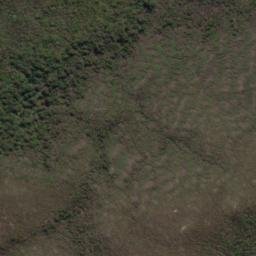 Satellite imagery of 19062, NZ