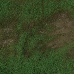 Satellite imagery of 19051, NZ