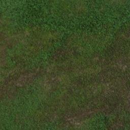 Satellite imagery of 19051, NZ