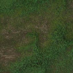 Satellite imagery of 19051, NZ