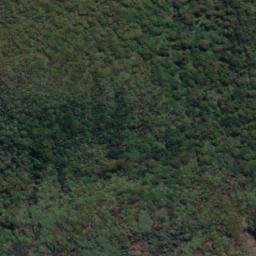Satellite imagery of Broad Head, NZ