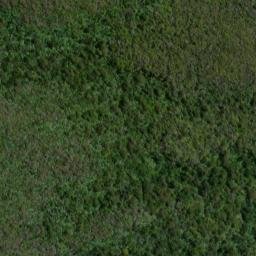 Satellite imagery of Kaninihi Point, NZ