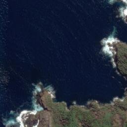 Satellite imagery of Wilsons Point, NZ