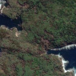 Satellite imagery of Wilsons Point, NZ