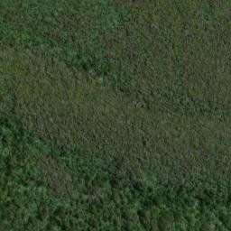 Satellite imagery of 19063, NZ