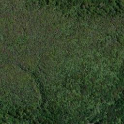 Satellite imagery of Kaninihi Point, NZ