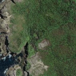 Satellite imagery of South West Cape/Puhiwaero, NZ