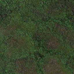Satellite imagery of South West Cape/Puhiwaero, NZ