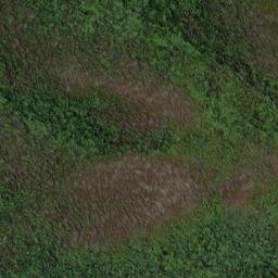 Satellite imagery of South West Cape/Puhiwaero, NZ