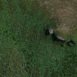 Satellite imagery of 19064, NZ
