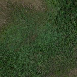 Satellite imagery of 19064, NZ