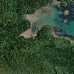 Satellite imagery of Kaninihi Point, NZ