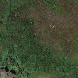 Satellite imagery of South West Cape/Puhiwaero, NZ