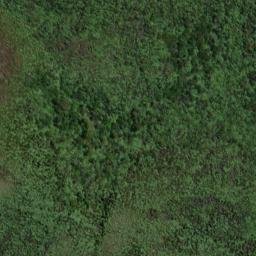 Satellite imagery of South West Cape/Puhiwaero, NZ