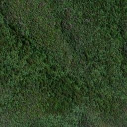 Satellite imagery of 19064, NZ