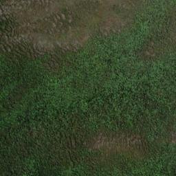 Satellite imagery of 19065, NZ