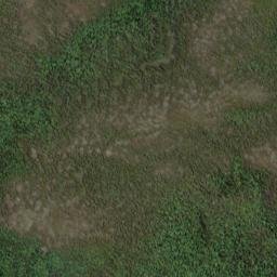 Satellite imagery of 19065, NZ