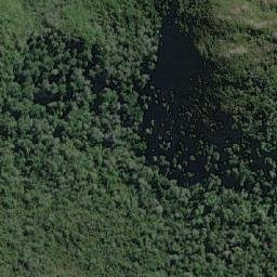 Satellite imagery of Punta Fresia, CL