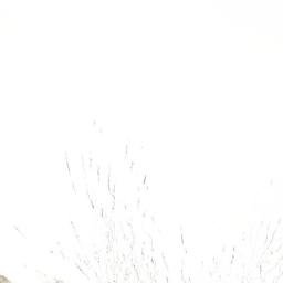 Satellite imagery of Cerro W, AR