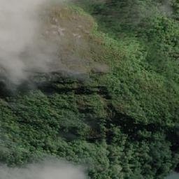 Satellite imagery of Punta Dafne, CL