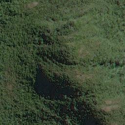 Satellite imagery of Punta Brava, CL