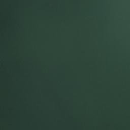 Satellite imagery of Punta Bella, CL