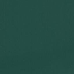 Satellite imagery of Punta Espejo, CL