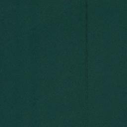 Satellite imagery of Punta Rita, CL