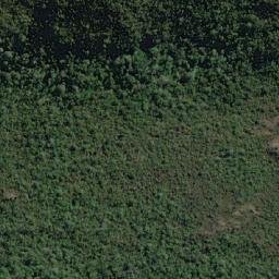 Satellite imagery of Punta Somerset, CL