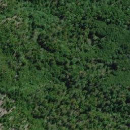 Satellite imagery of survey_point, AR