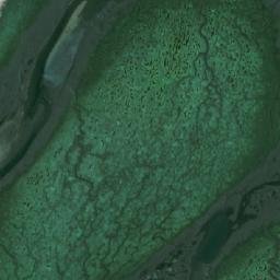 Satellite imagery of Piedras Rodríguez, AR